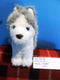 American Girl Husky Pepper Plush