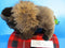 Wild Republic Minnesota Zoo Bison Buffalo 2012 Plush