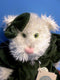 Boyd's Bears Cleo P. Pussytoes the White Cat in Green Romper 1997 Plush