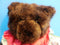 Mango Peek-a-Boo Dark Brown Teddy Bear Plush