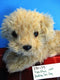Vivid Toy Scruffies Tan Panting Puppy Dog 2015