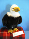 Aurora Bald Eagle Plush