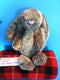 Jellycat Woodland Bunny Rabbit Beanbag Plush