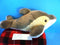 Dolphin Yellow Sided Plush