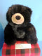 Wishpets Molly the Black Bear 2000 Plush