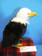 Aurora Bald Eagle Plush