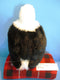 Aurora Bald Eagle Plush