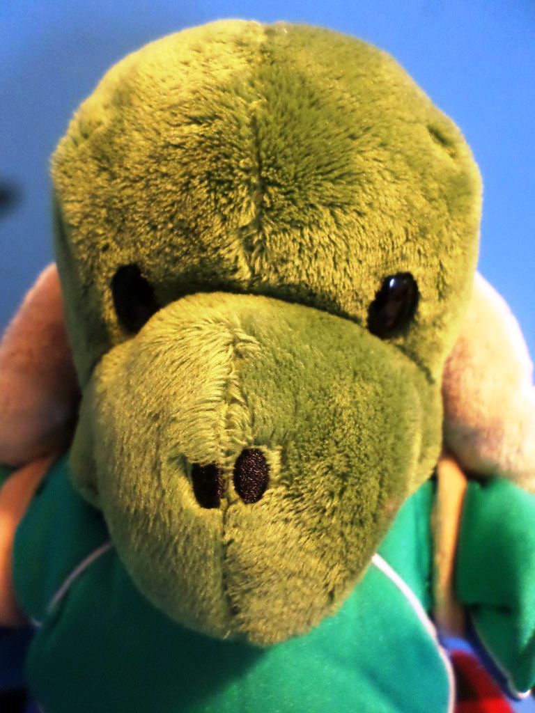 Build-A-Bear Turtle with Shell Backpack Plush