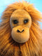 Aurora Miyoni Orangutan Plush