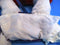 Poochie and Co. Westie Purple Sequins Plush Bag Purse