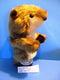 Daphne Gopher Golf Club Cover