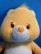Care Bears Friend Bear 2003 Plush