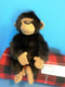 Russ Bonono Monkey Plush