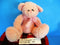 Circo Animal Adventure Pink Teddy Bear 2011 Plush