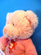 Baby Gund My First Teddy Prayer Pink Bear Plush