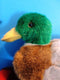 JAAG Mallard Drake Duck Beanbag Plush