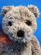 Ty Classic Java Brown Teddy Bear 2002 Beanbag Plush