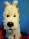 Ty Beanie Babies TinTin Snowy 2011 Beanbag Plush