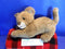 Westcliff Collection Lion Cub Plush