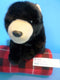 Ty Classic Forest Black Bear 2002 Beanbag Plush