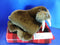 Sea World Brown Walrus Plush