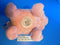 Animal Adventure Pink 2016 Plush Piggy Bank