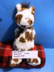 Jellycat Bashful Pinto Paint Horse Plush